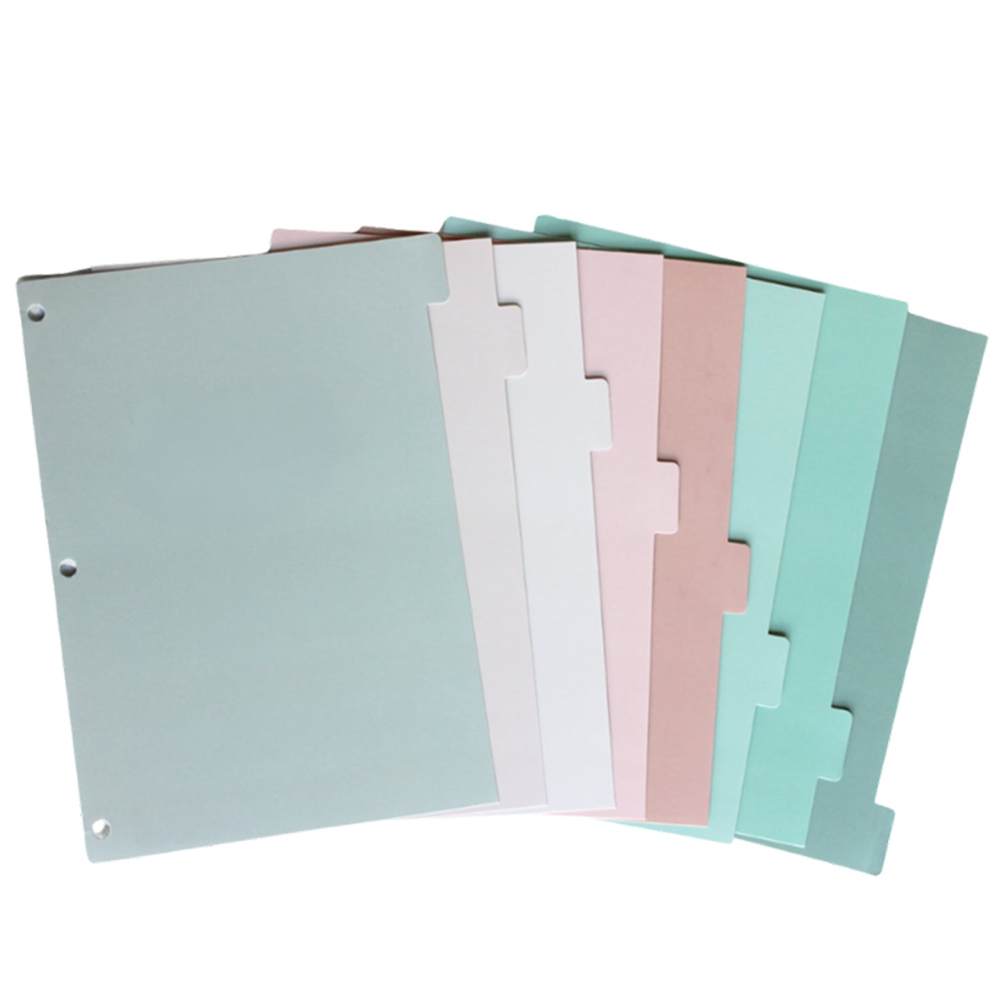 Colorful Blank Tab Dividers (Set of 8)